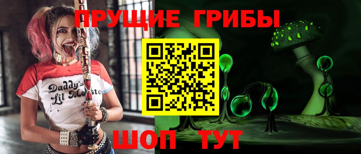 Псилоцибиновые грибы Cubensis  наркотики  Красный Сулин  Вход с VPN 